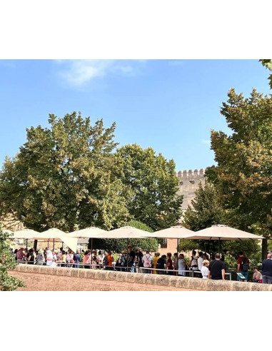 Parasol Aluminio 3x3metros - Sombrillas