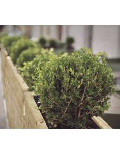 Cerramientos Terraza. Jardineras de madera para terrazas de hostelería modelo Barcelona