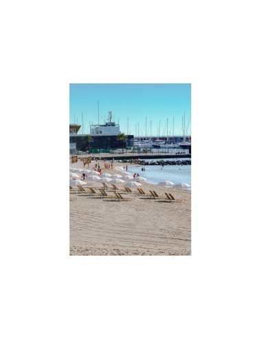 Parasol especial PLAYA profesional inox para clavar en arena - Sombrillas Parasol especial PLAYA profesional inox para clavar en arena - Sombrillas